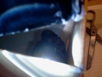 /album/galleria-fotografica/a2014-02-19-16-25-38-jpg/